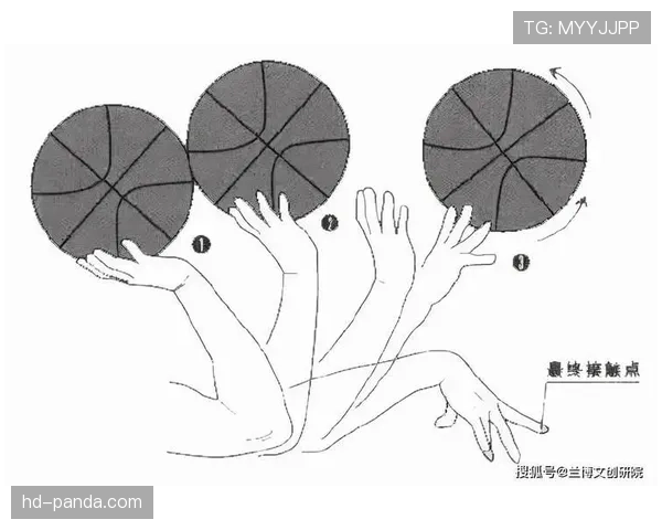 篮球新手的必备指南：详解持球启动规则的正确执行步骤